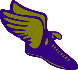 Track Shoes With Wings