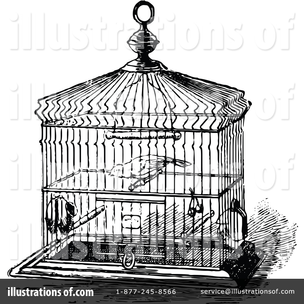 Vintage Bird Cage Art Royalty Free  Rf  Bird Cage