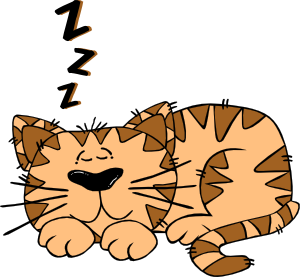Cartoon Cat Sleeping Clip Art At Clker Com   Vector Clip Art Online