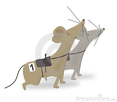Mouse Race Royalty Free Stock Photos   Image  9967098