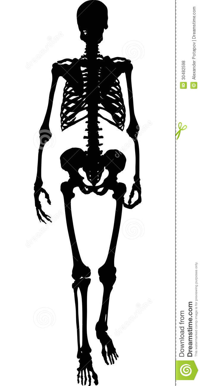 Single Black Silhouette Of Human Skeleton Royalty Free Stock Photos    