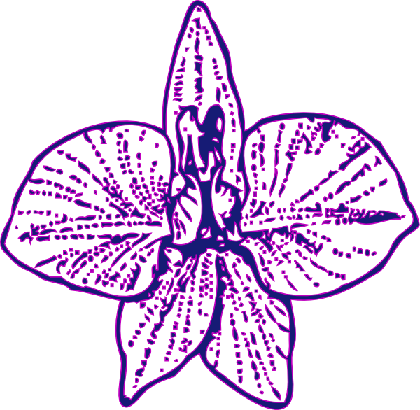 Blue Orchid Clip Art At Clker Com   Vector Clip Art Online Royalty