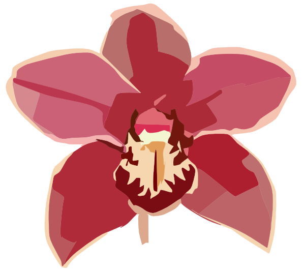 Orchid Copy Clip Art At Clker Com   Vector Clip Art Online Royalty
