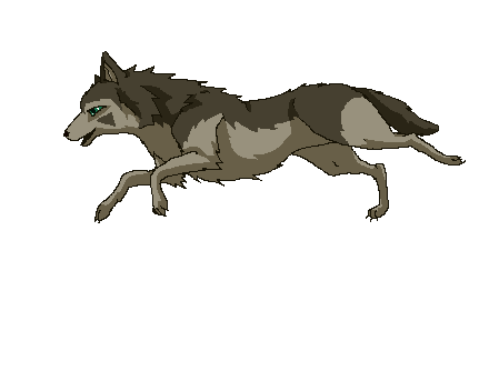 Running Wolf   Animation By Jemichi On Deviantart