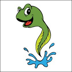 Tadpole Clipart And Illustrations