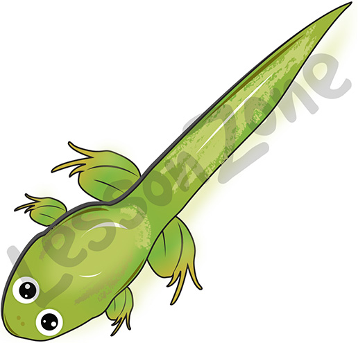 Tadpole Clipart Black And White   Clipart Panda   Free Clipart Images