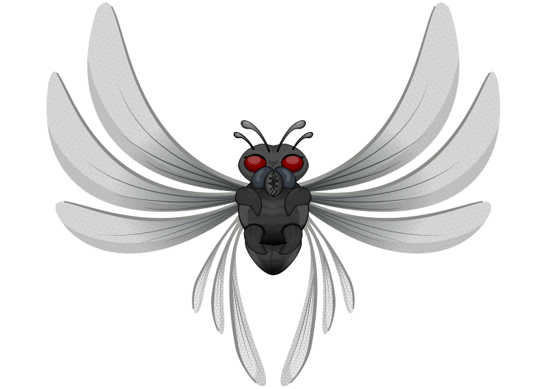 Free Bug With Wings Clip Art