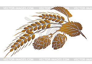 Hops And Wheat   Royalty Free Vector Image