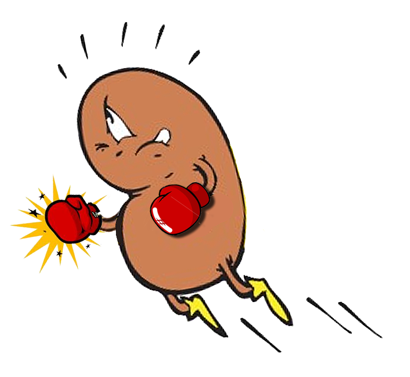 Kidney Cartoons Http   Www Pic2fly Com Kidney Cartoons Html