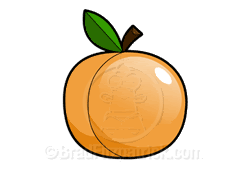 Peach Clipart Photo  Peach  Cartoon Peach Clipart Gif