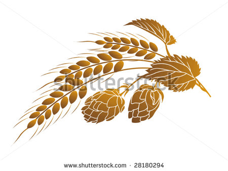 Stock Vector Vector Illustration Of Hops And Ears Of Wheat 28180294