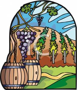Winery   Royalty Free Clipart Picture