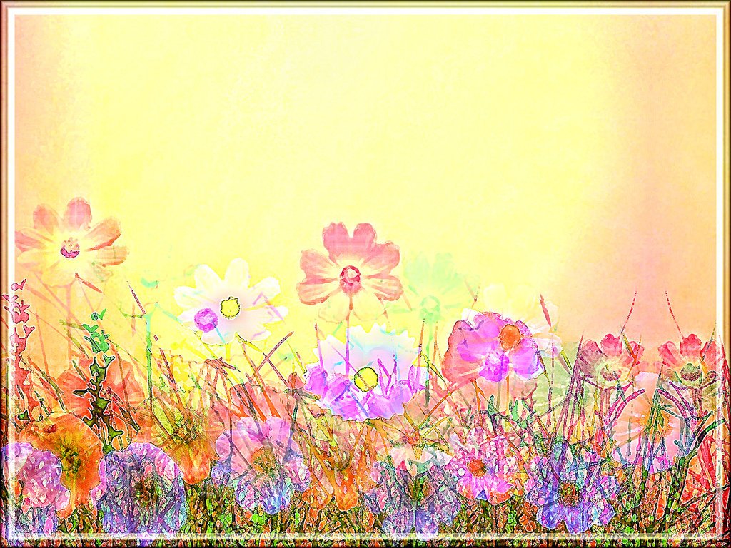 Field Spring Flowers Tsukku