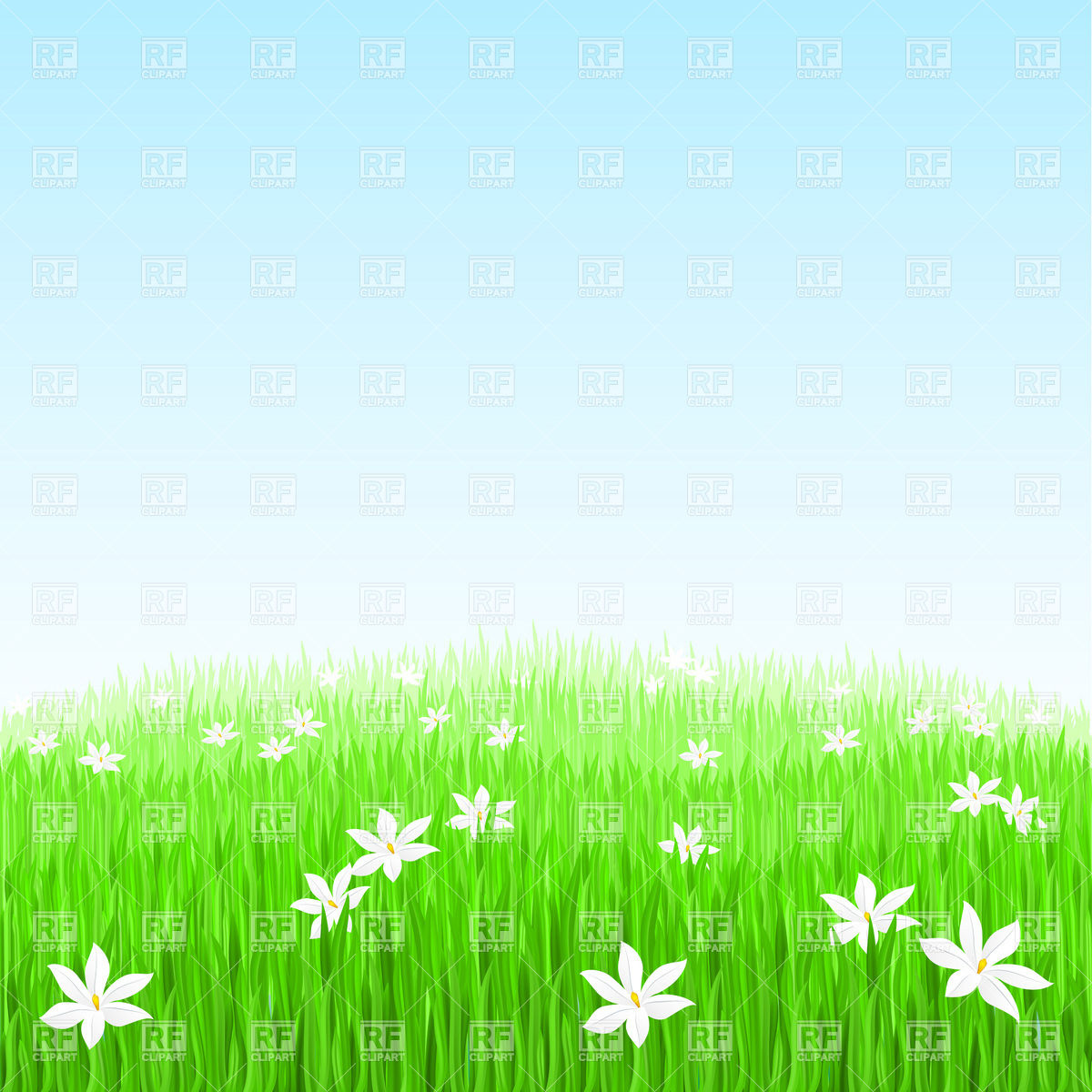 Green Grass With White Flowers 8389 Backgrounds Textures Abstract