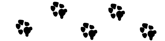 Paw Print Clip Art   Paw Print Graphics For Projects   Dog Paw Print