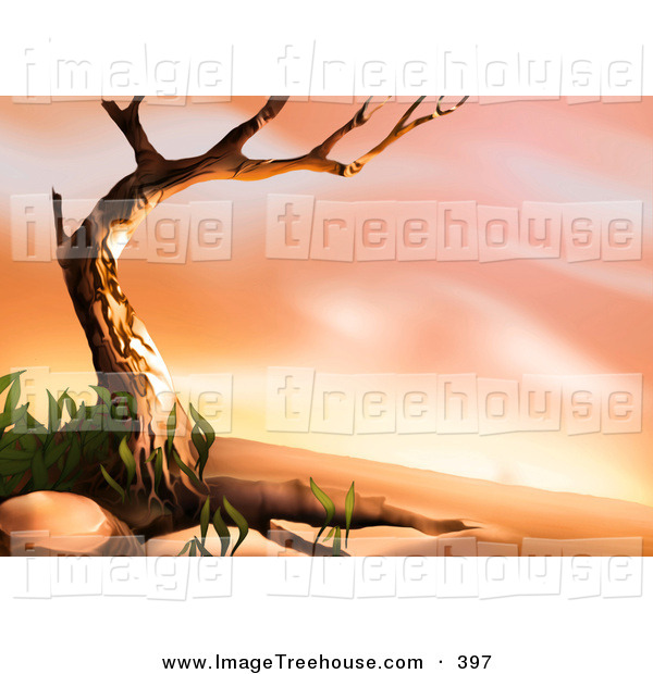 Clipart Of A Nature Background Of A Bare Tree Framing A Desert Sunrise