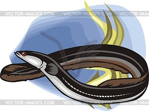 Eel   Vector Clipart
