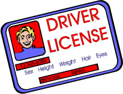 Graduated Driver S License