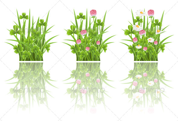 Graphicriver Green Grass With Clover And Camomile Flowers 4792824