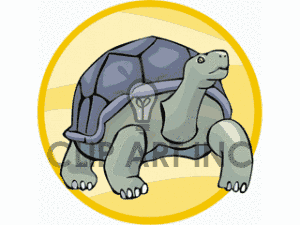 Royalty Free Forward Facing Giant Tortoise Clipart Image Picture Art    