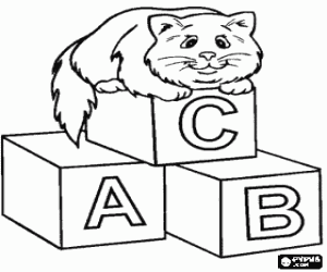 Cat Resting Upon Blocks With Letters Kitten Playing With A