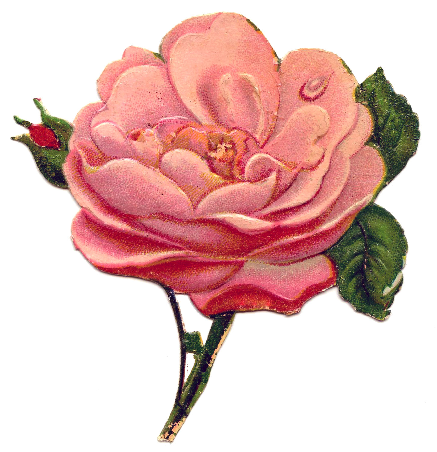 Victorian Pink Roses Clip Art