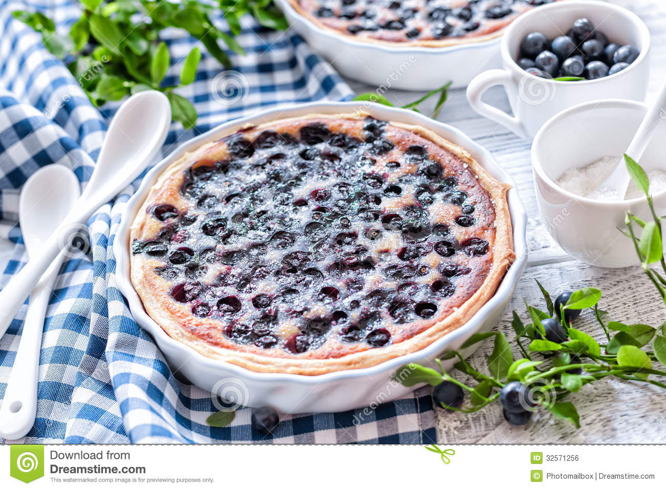 Blueberry Cake Royalty Free Stock Image   Image  32571256