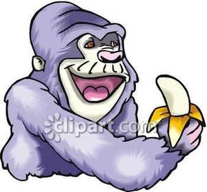 Gorilla Eating A Banana   Royalty Free Clipart Picture