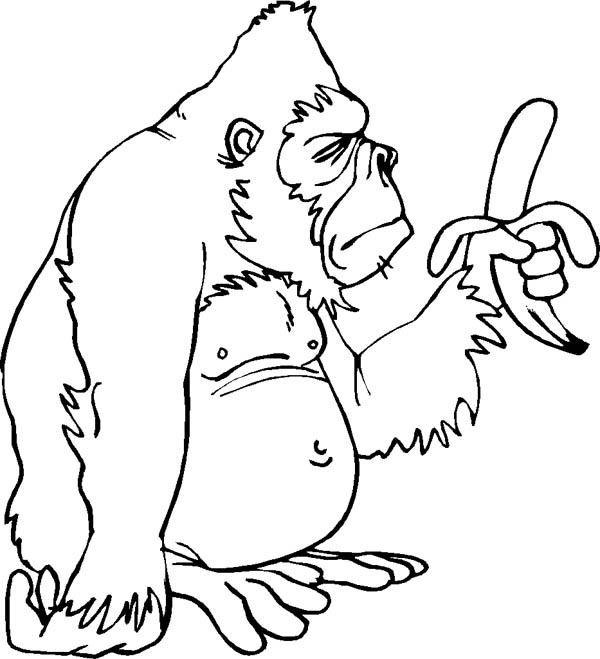 Gorilla Only Has One Banana   Clipart Panda   Free Clipart Images