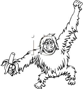     White Monkey Holding A Peeled Banana   Royalty Free Clipart Picture
