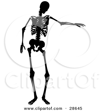 Clipart Illustration Of Two Poses Of A Black Silhouetted Skeleton