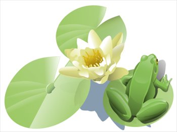 Free Frog On A Lily Pad Clipart   Free Clipart Graphics Images And    