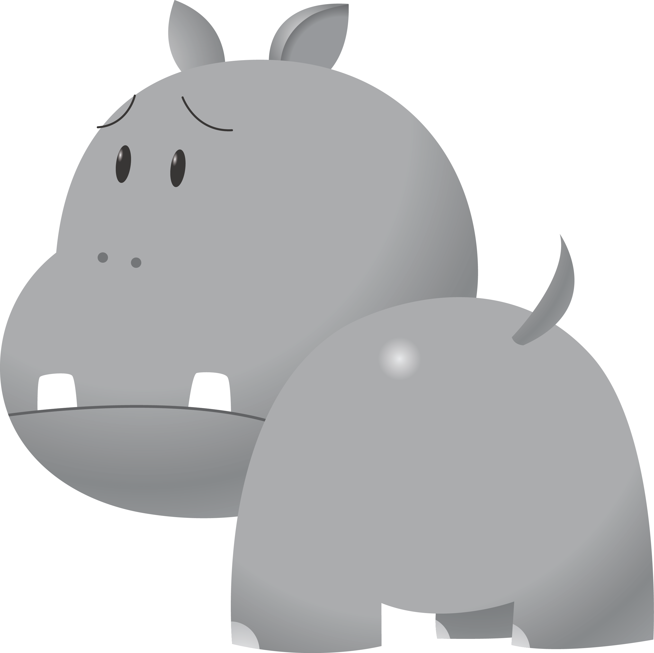 Hippo10