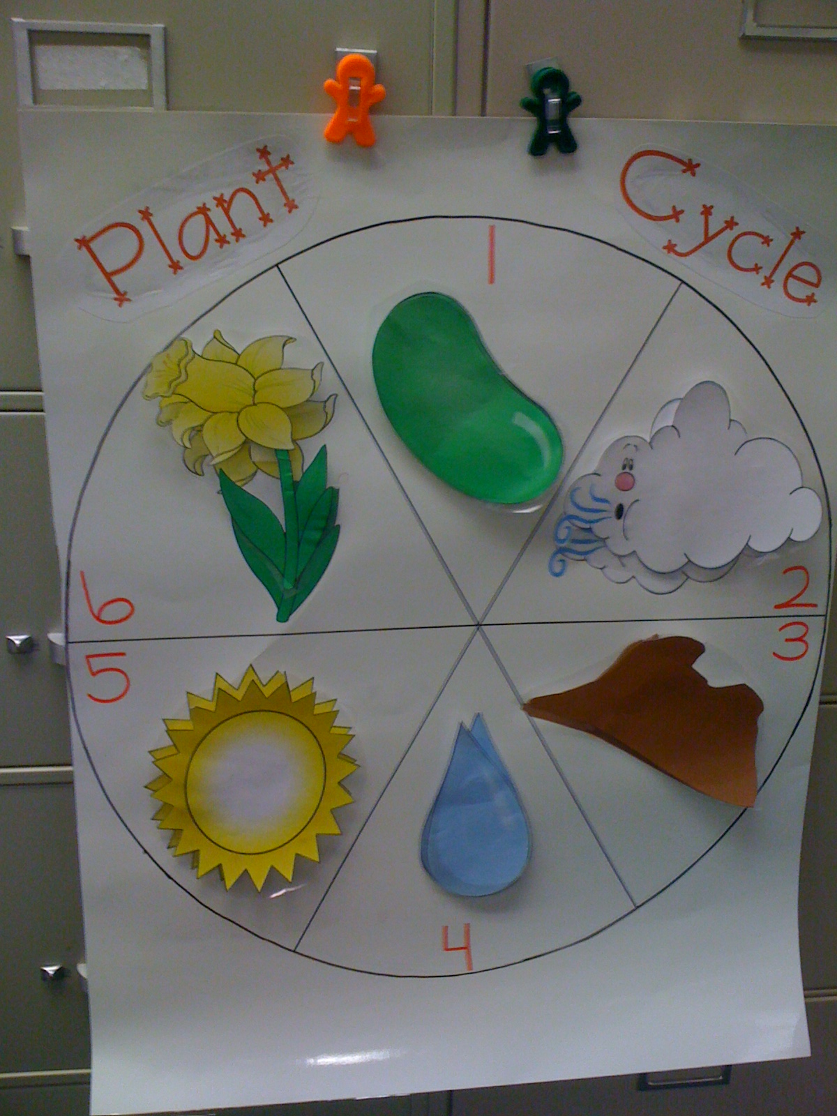 Megan Also Made A Fabulous Chart To Accompany The Life Cycle Of A Seed