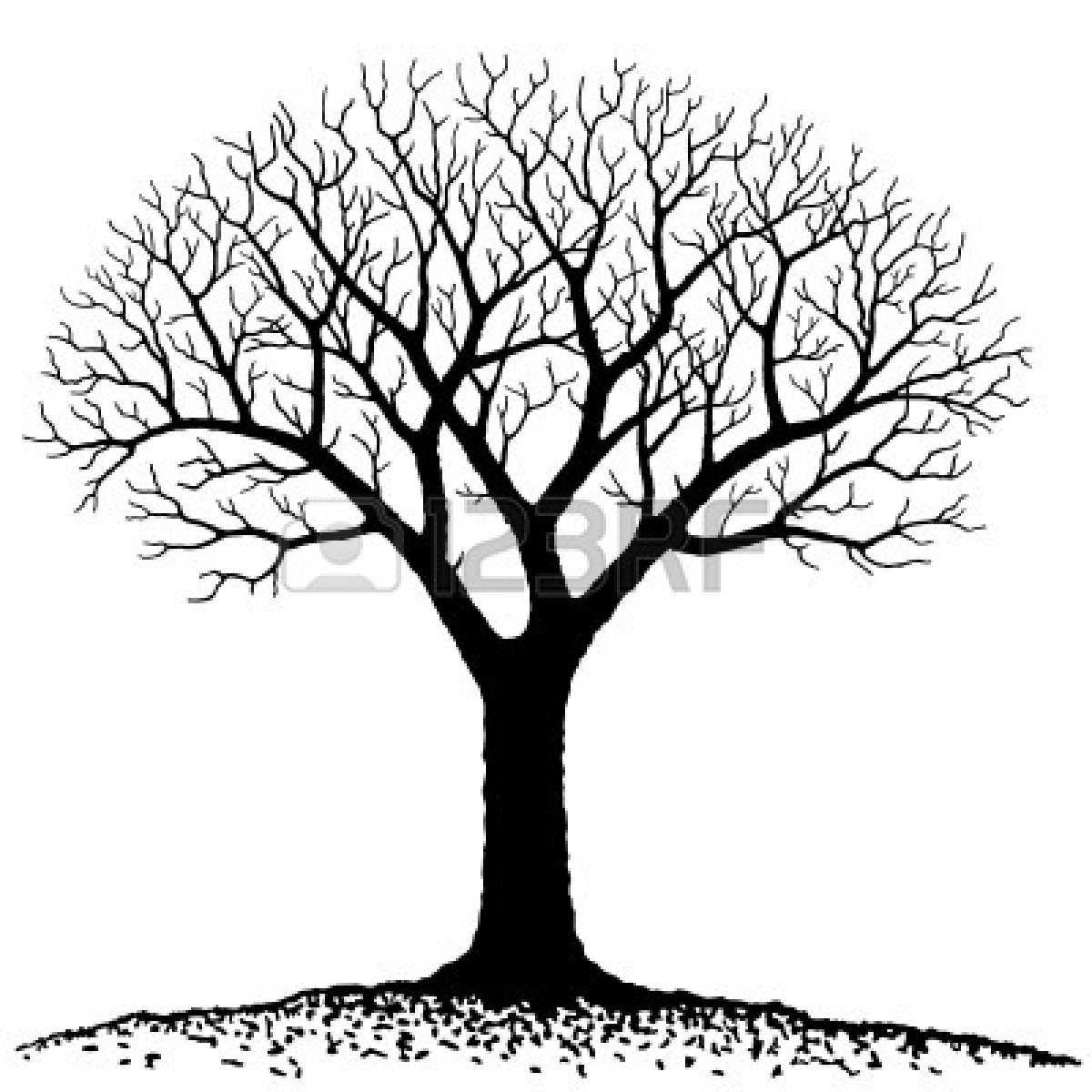 Oak Tree Silhouette With Roots 10526513 Bare Tree Jpg