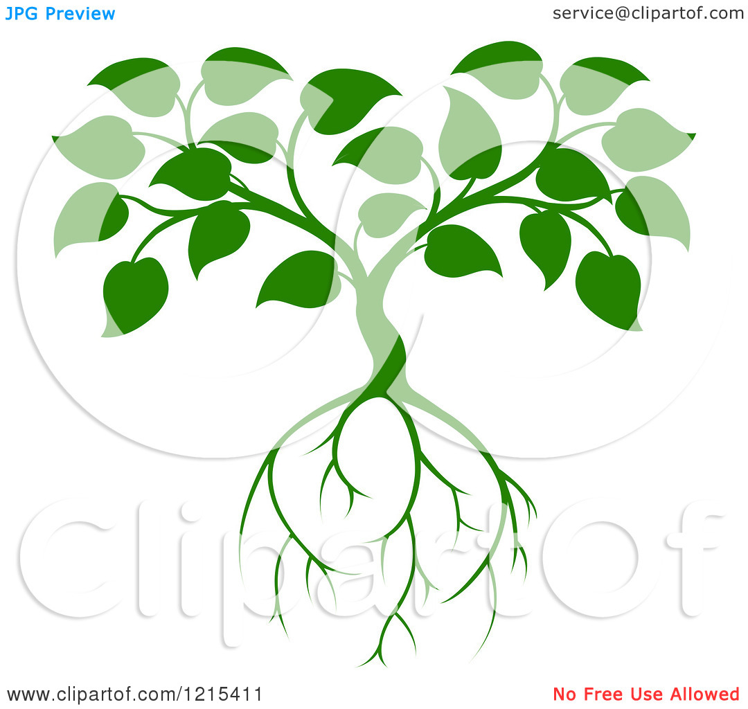Tree With Roots Clipart Of A Green Seedling Tree With Leaves And Roots