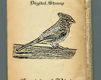 Digital Stamp Clip Art Bird Cardi Nal Image Printable Craft Image