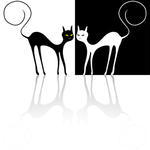 Vector Illustration Of Black Cat And White Cat 110265836 Jpg