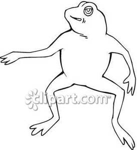 Black And White Toad Outline   Royalty Free Clipart Picture