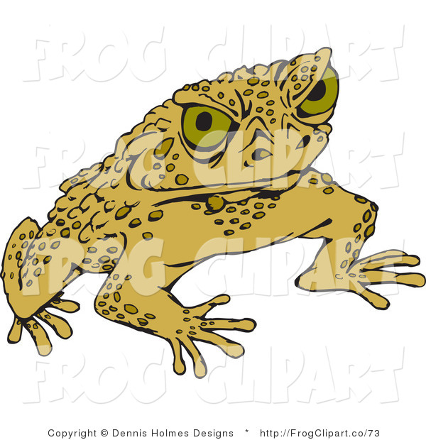 Clip Art Of A Warty Yellow Toad Glaring At The Viewer By Dennis Holmes