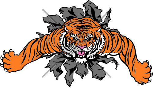 Clipart And Vectorart  Sports Mascots   Tigers Mascot    
