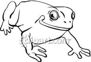 Cute Black And White Toad   Royalty Free Clipart Picture