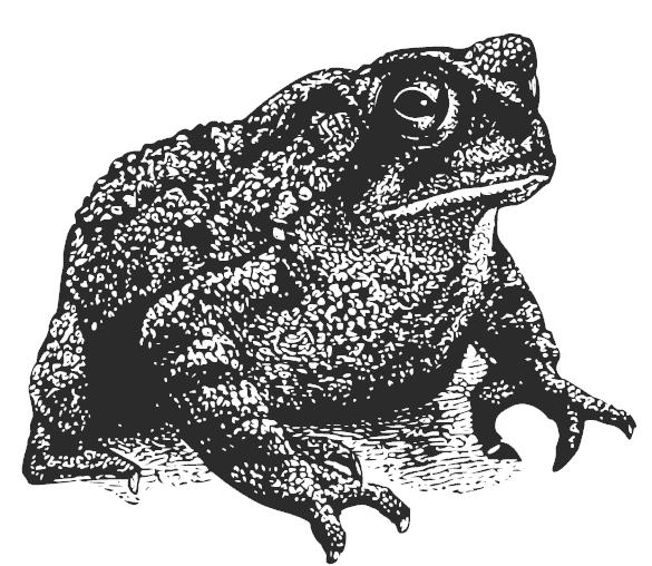 Free Clipart Of Black And White Toad