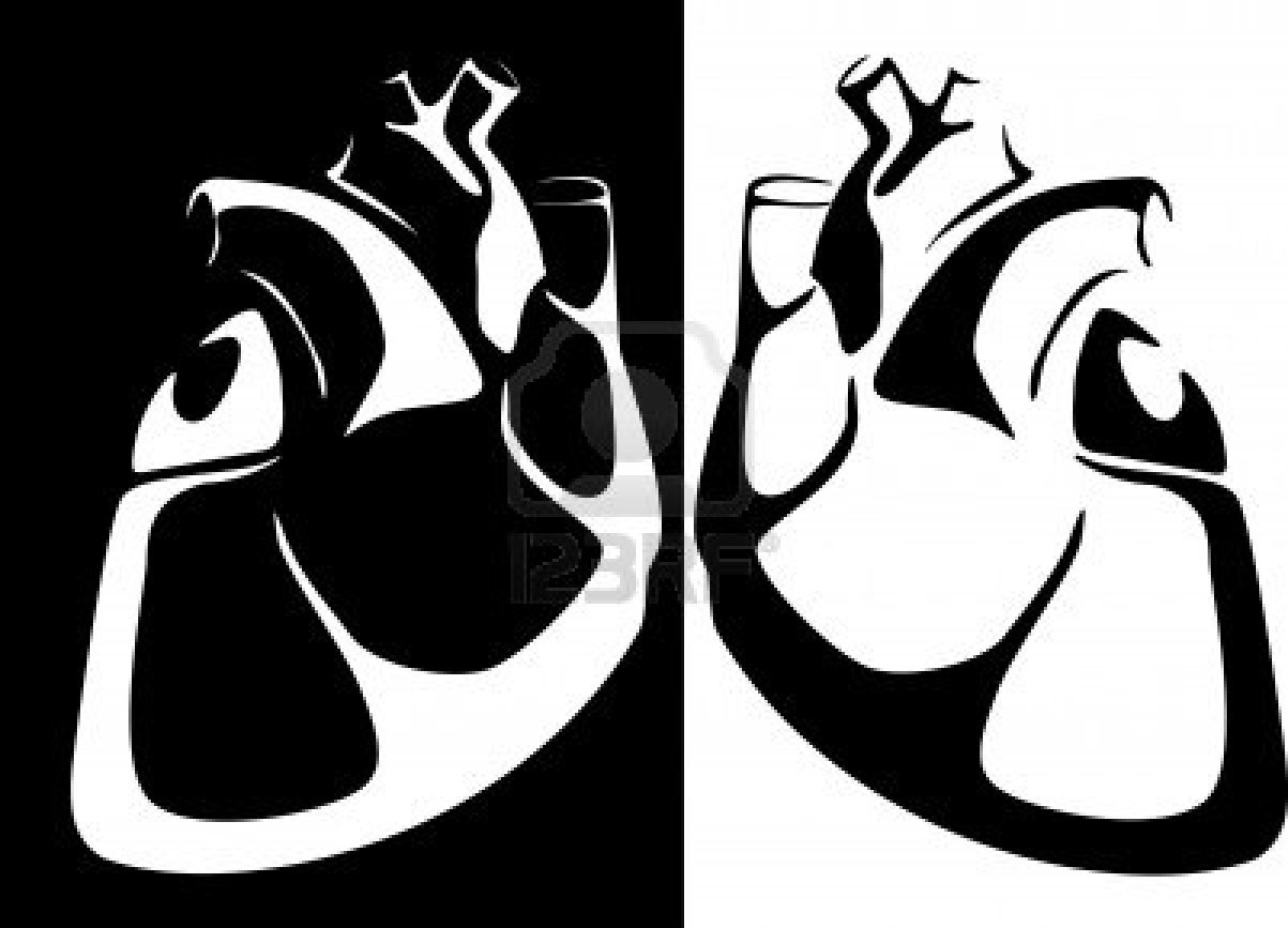 Human Heart Black And White Clipart   Clipart Best   Clipart Best