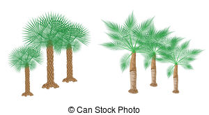 Palm Dates Clipart Vector And Illustration  241 Palm Dates Clip Art