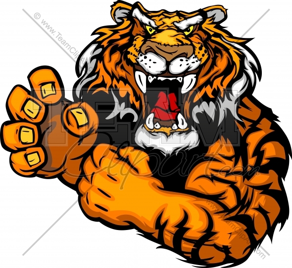     Perfect Mascot For Sports Teams And Schools Our Tiger Mascot Vector