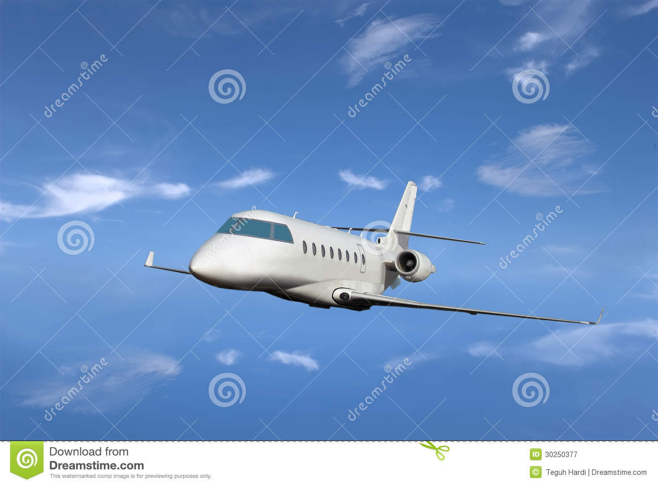 Private Jet Royalty Free Stock Photography   Image  30250377