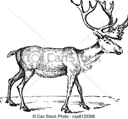 Reindeer Vintage Engraved Illustration  Dictionary Of Words And