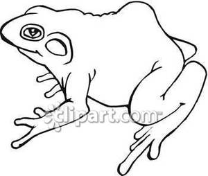 Toad Clip Art Black And White Side View A Toad Royalty Free Clipart