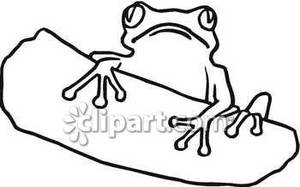 Toad Clipart Black And White Black And White Toad On A Log Royalty